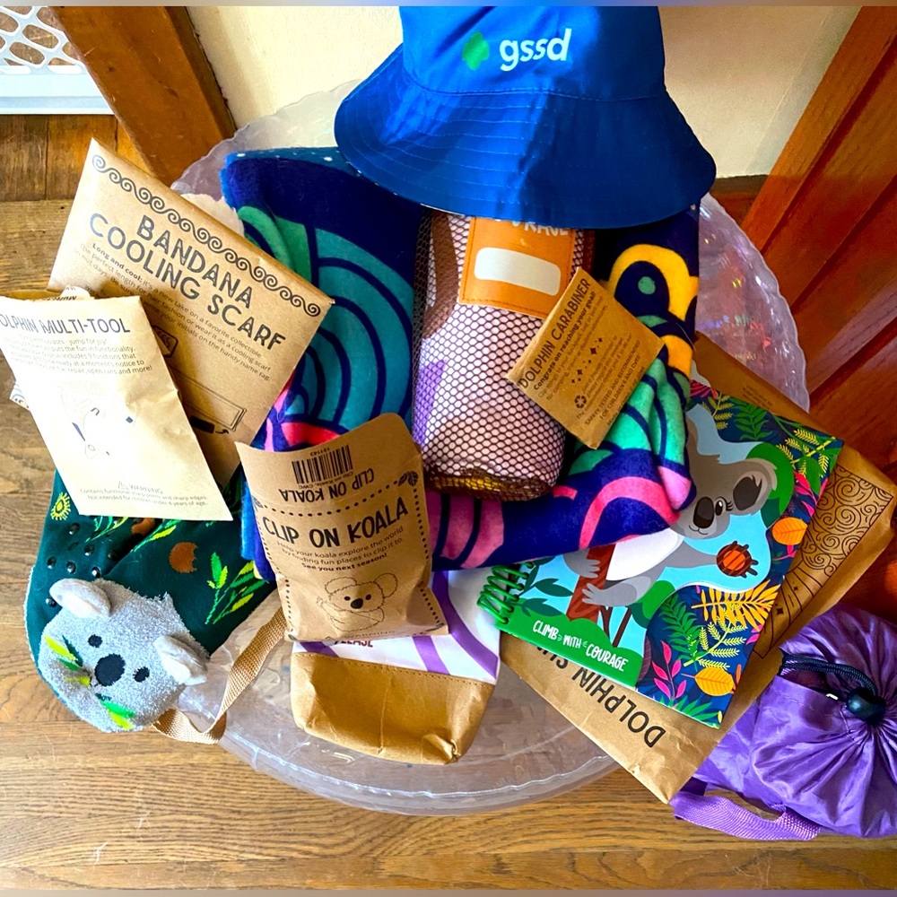 Girl Scout Cookie Prize Rewards: journals, hats, socks, chair, blanket, etc.